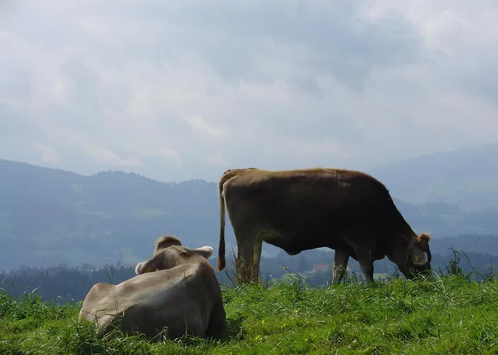Landhotel Herzberger Garni Zimmer & Ferienwohnungen