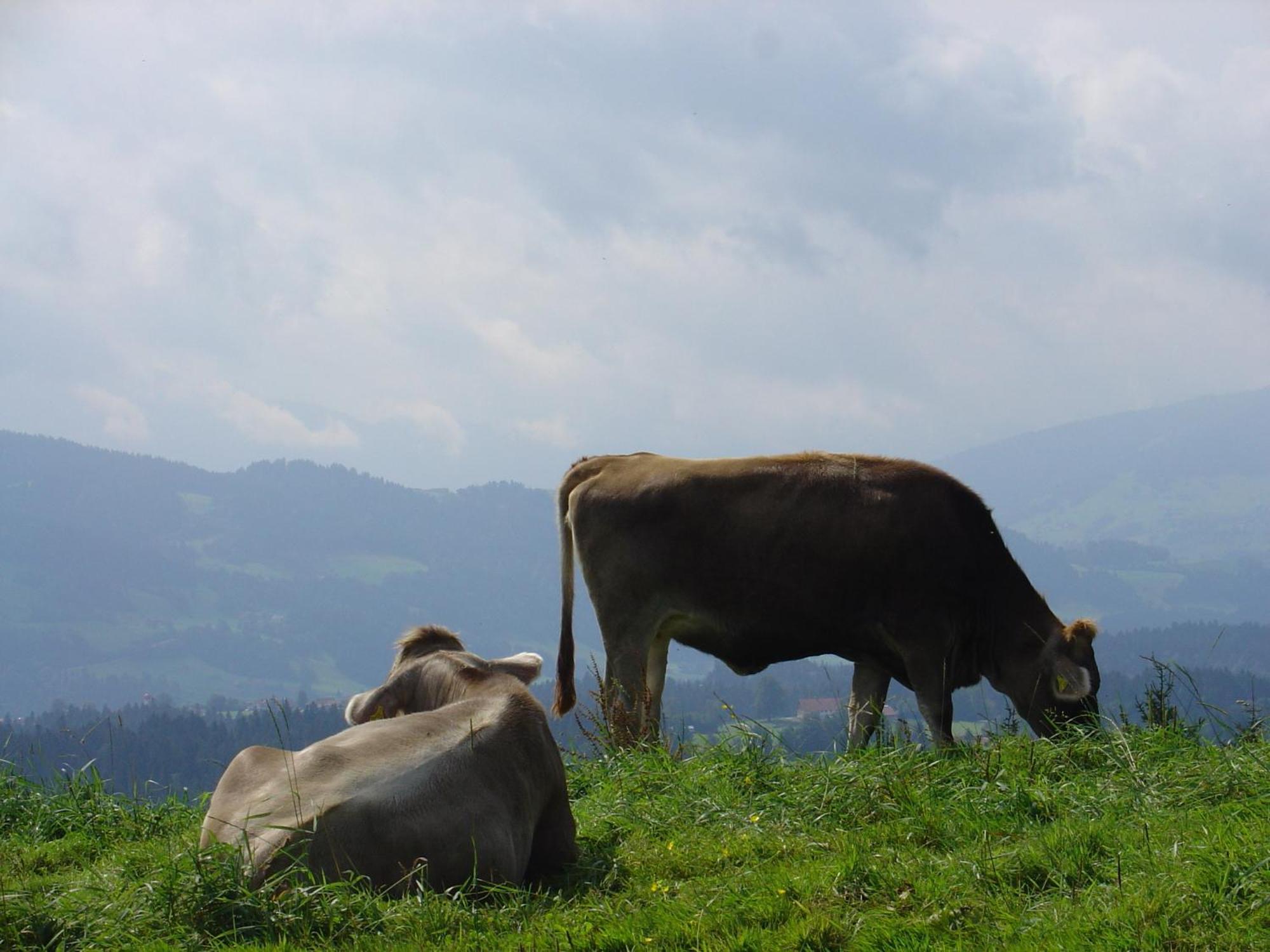 Hotel Herzberger Garni &