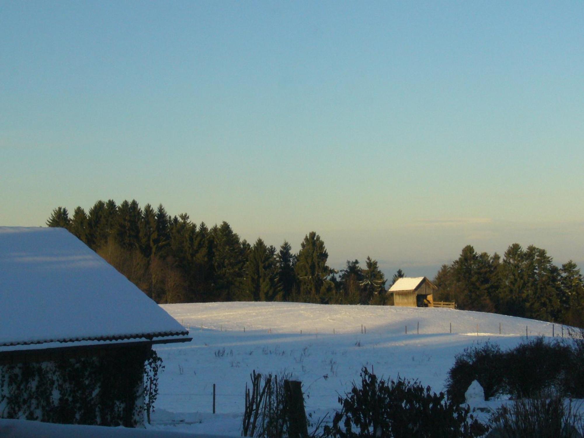 Herzberger Garni & Hotel Scheidegg